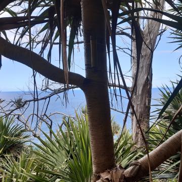 Formation Agir en génie écologique