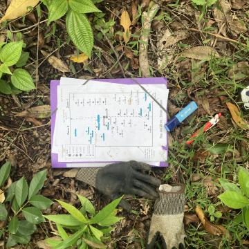  biodiversité professionnels