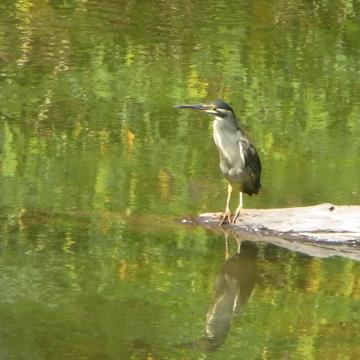 formation Aménager ou concevoir un paysage